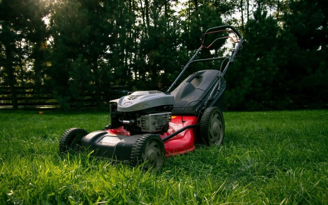 summer lawn maintenance