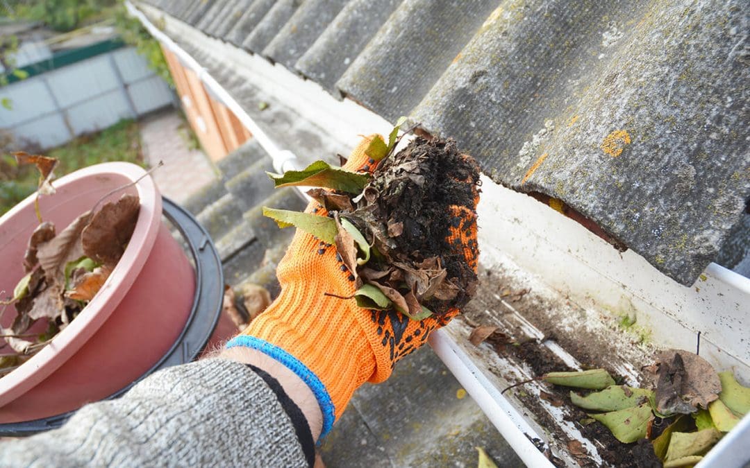how-to-clean-gutters