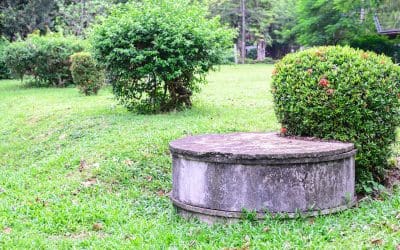 5 Septic Tank Maintenance Tips