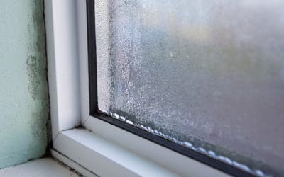 7 Tips to Prevent Mold Growth in Your Home