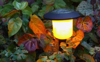 Why Solar Lighting is a Game-Changer For Homeowners